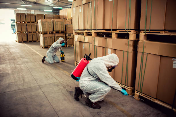 Best Cockroach Control Services  in Doffing, TX