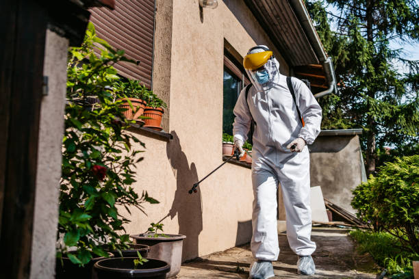 Best Ant Control Services  in Doffing, TX