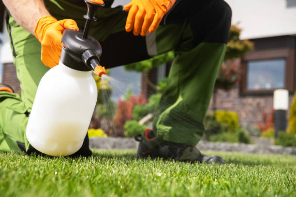 Best Local Pest Control Services  in Doffing, TX