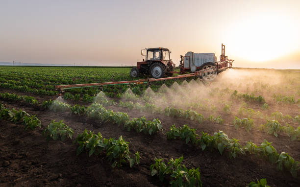 Best Best Pest Control Companies  in Doffing, TX