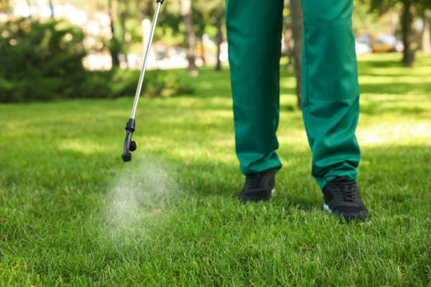 Wasp Removal Services in Doffing, TX