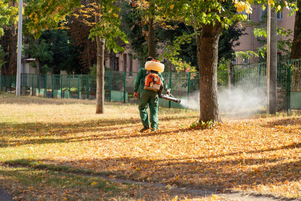 Best Bed Bug Extermination  in Doffing, TX