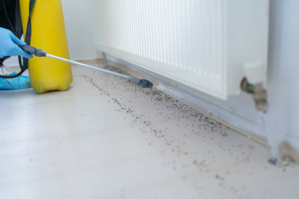 Best Affordable Exterminators  in Doffing, TX
