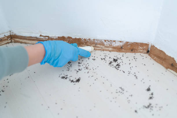Best Pest Control for Restaurants  in Doffing, TX